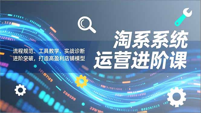 淘系系统运营进阶课2.0，流程规范、工具教学、实战诊断，进阶突破，打造高盈利店铺模型-阿信云网创合伙人