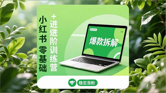 小红书零基础+高阶训练营：安全养号、爆款拆解、长效运营，实现稳定涨粉与变现-阿信云网创合伙人