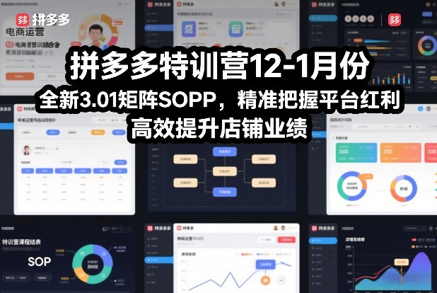 拼多多特训营12-1月份，全新3.01矩阵Sop，精准把握平台红利，高效提升店铺业绩-阿信云网创合伙人