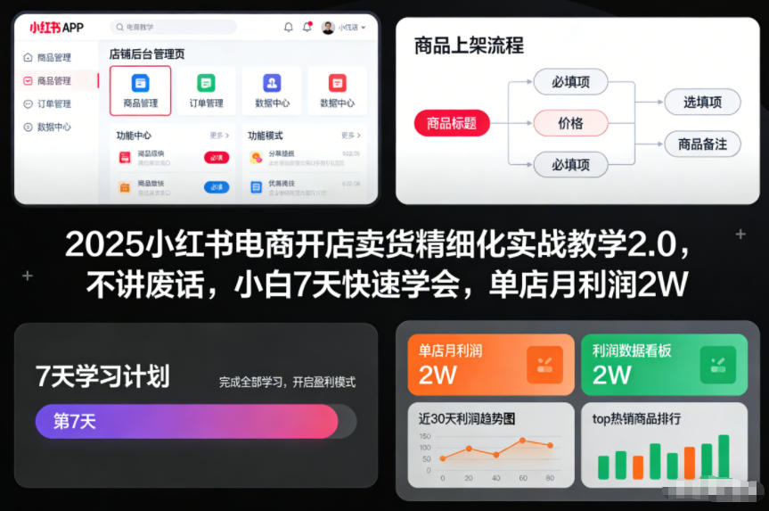 2025小红书电商开店卖货精细化实战教学2.0，不讲废话，小白7天快速学会，单店月利润2W-阿信云网创合伙人