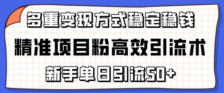 精准项目粉高效引流术，新手单日引流50+，多重变现方式稳定赚钱-阿信云网创合伙人