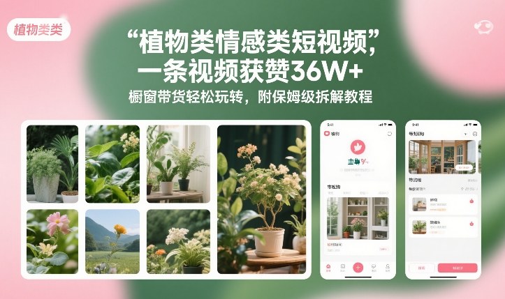 植物类情感类短视频，一条视频获赞36W+，橱窗带货轻松玩转，附保姆级拆解教程-阿信云网创合伙人