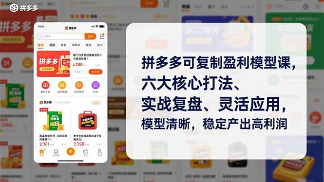 拼多多可复制盈利模型课，六大核心打法、实战复盘、灵活应用，模型清晰，稳定产出高利润-阿信云网创合伙人