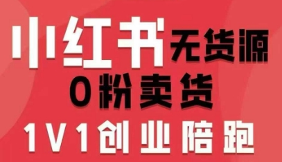 小红书无货源0粉电商课，开店准备、选品策略、笔记撰写、视频剪辑、数据分析、账号打造、资料文档(更新)-阿信云网创合伙人