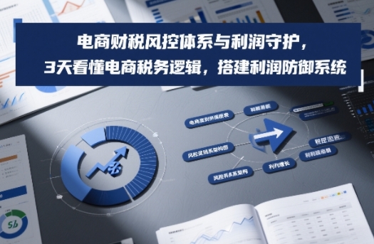 电商财税风控体系与利润守护，3天看懂电商税务逻辑，搭建利润防御系统-阿信云网创合伙人