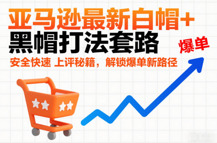 亚马逊最新白帽+黑帽打法套路,安全快速上评秘籍,解锁爆单新路径-阿信云网创合伙人