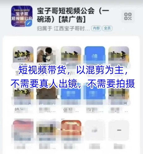 宝子哥头部团队短视频带货，以混剪为主，不需要真人出镜，不需要拍摄【更新12月】-阿信云网创合伙人