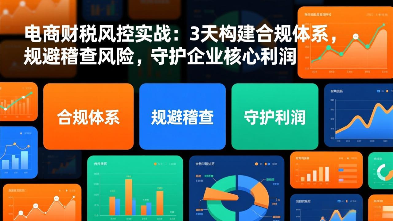 电商财税风控实战：3天构建合规体系，规避稽查风险，守护企业核心利润-阿信云网创合伙人