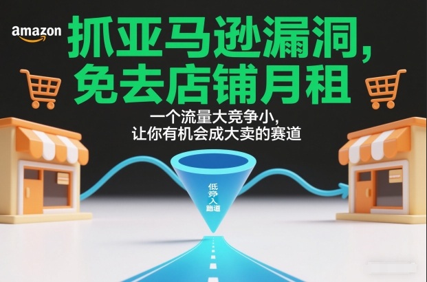 抓亚马逊漏洞，免去店铺月租，一个流量大竞争小，让你有机会成大卖的赛道-阿信云网创合伙人